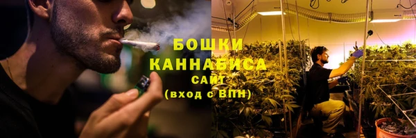 шишки Болотное