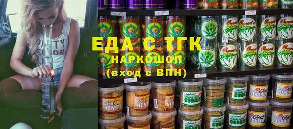дмт Бородино