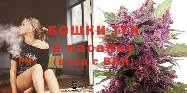 дмт Бородино