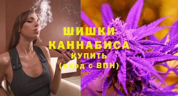 тгк Арсеньев