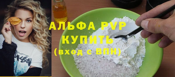 дмт Бородино