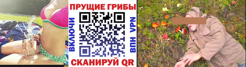 Псилоцибиновые грибы GOLDEN TEACHER  Короча 